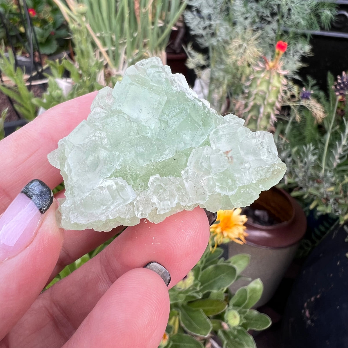 Green Octahedral Fluorite Specimen - Fujian, China
