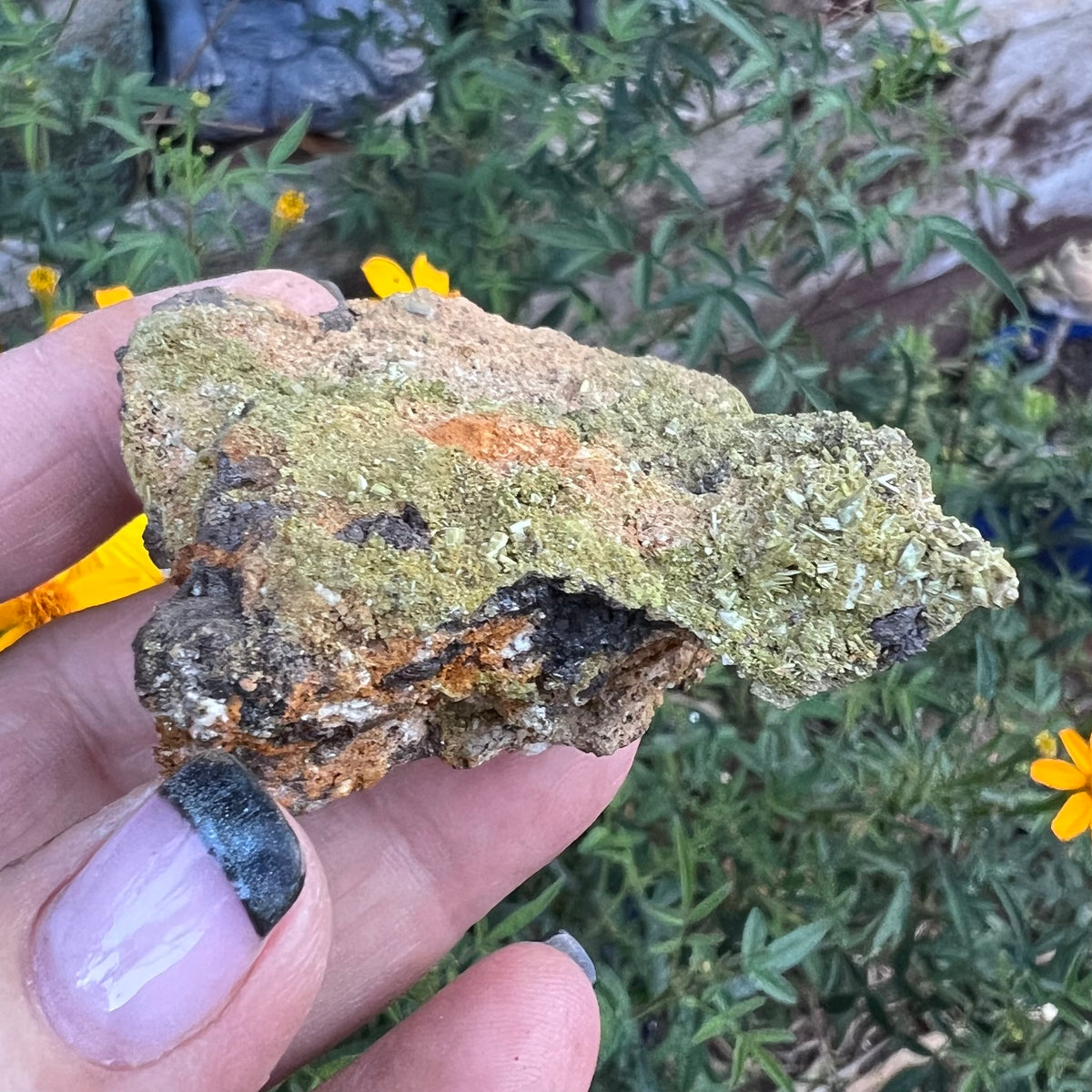 Natural earthy Epidote on matrix mineral specimen - Liangshan, Sichuan Province, China