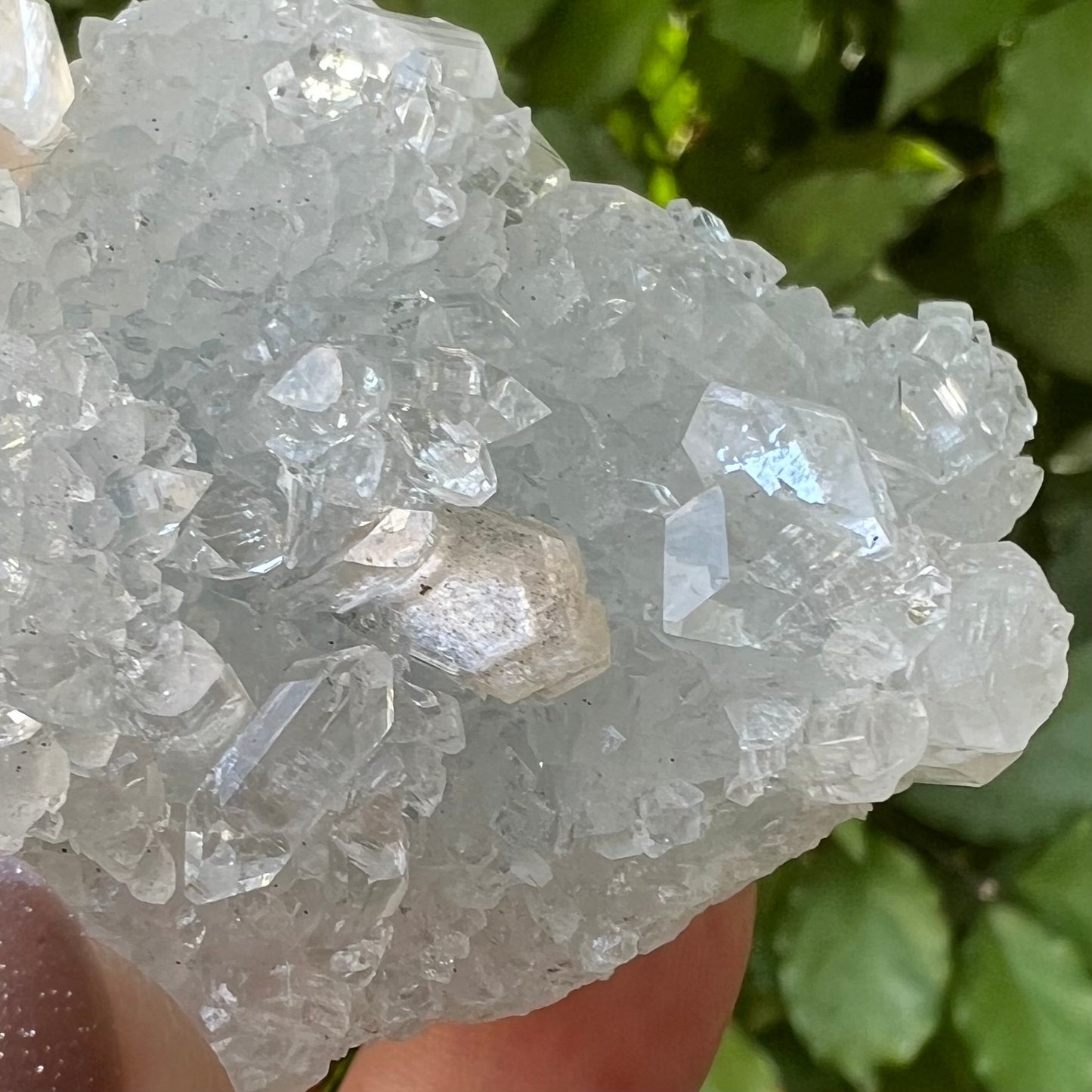 Mirror Apophyllite and Apophyllite Druzy with Stilbite Zeolite Cluster - Jalgoan District, Maharashtra, India