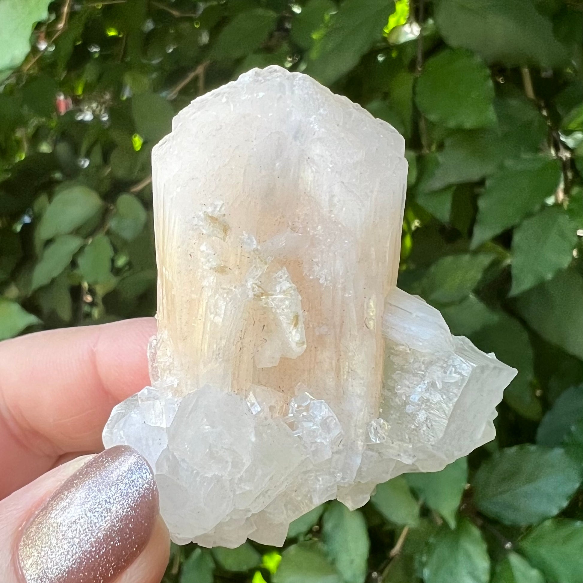 Peach Stilbite in Mirror Apophyllite Zeolite specimen - Jalgoan District, Maharashtra, India