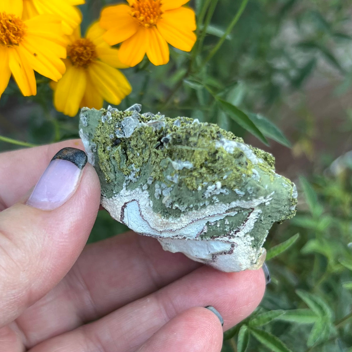 A hand holding a natural mossy epidote with quartz mineral specimen with green and white textured surfaces, photographed outdoors with yellow calendula flowers and green foliage in the background.