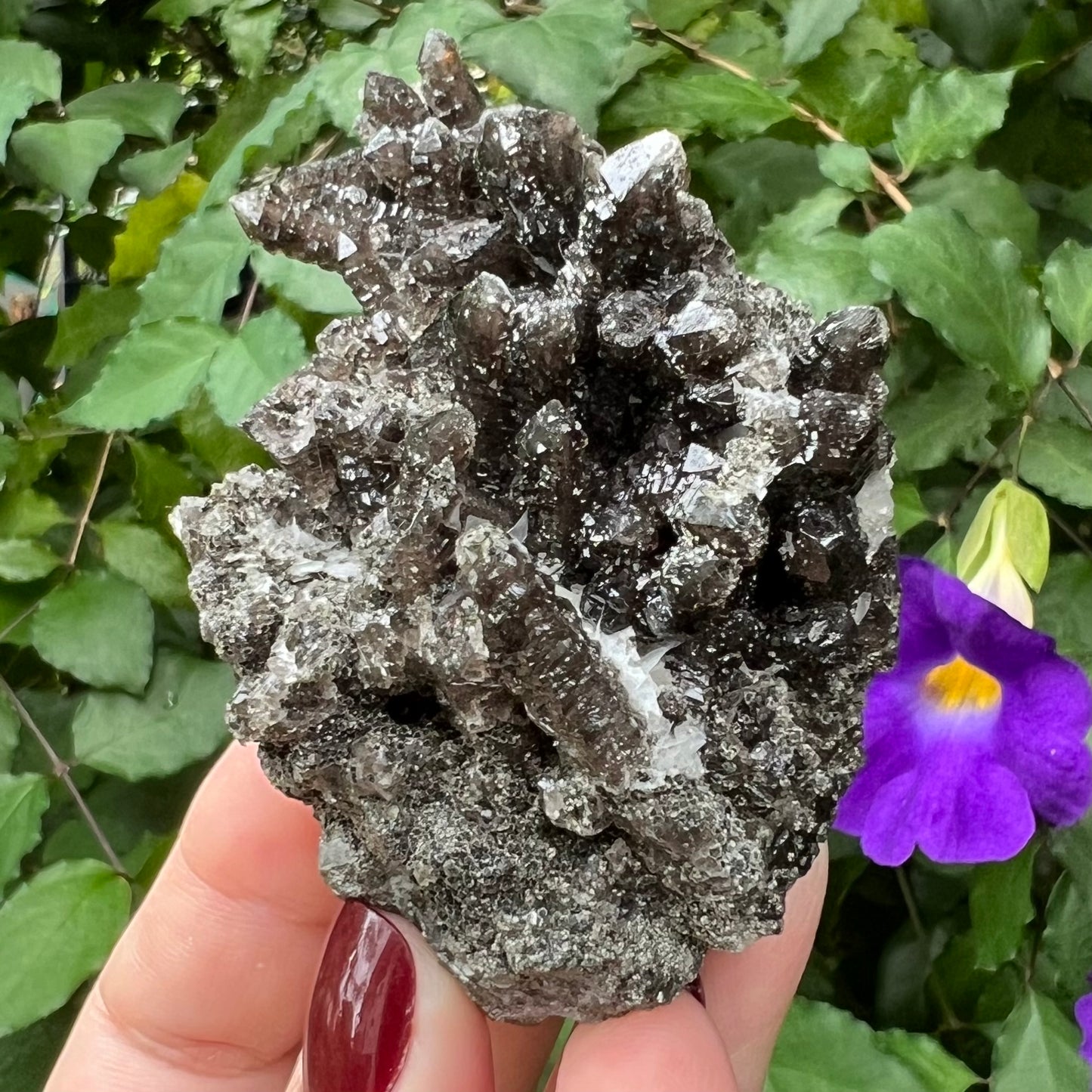 Black Morion Smoky 'Screw' Quartz Cluster