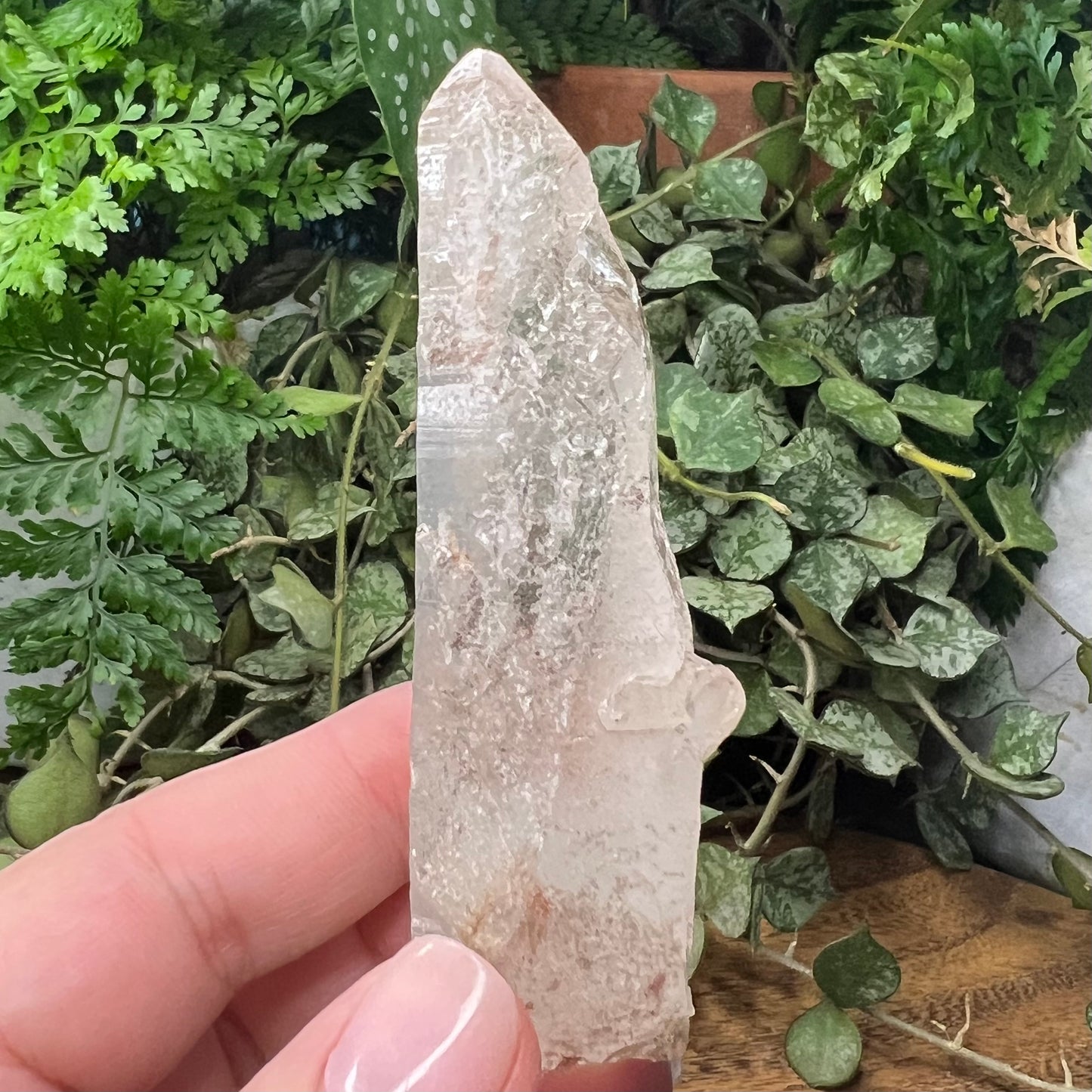 Empathic Warrior Self-Healed Quartz Point with penetrator