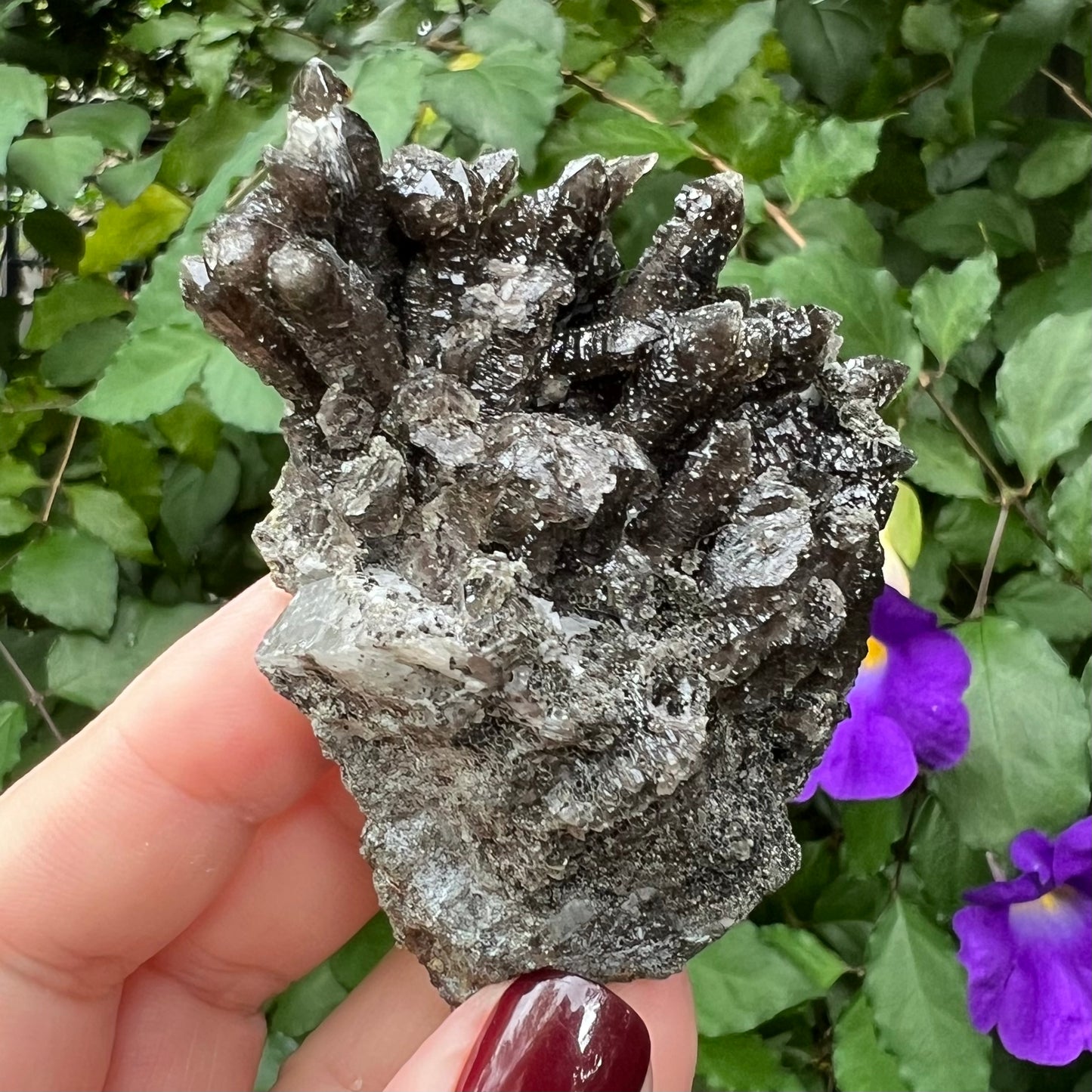 Black Morion Smoky 'Screw' Quartz Cluster