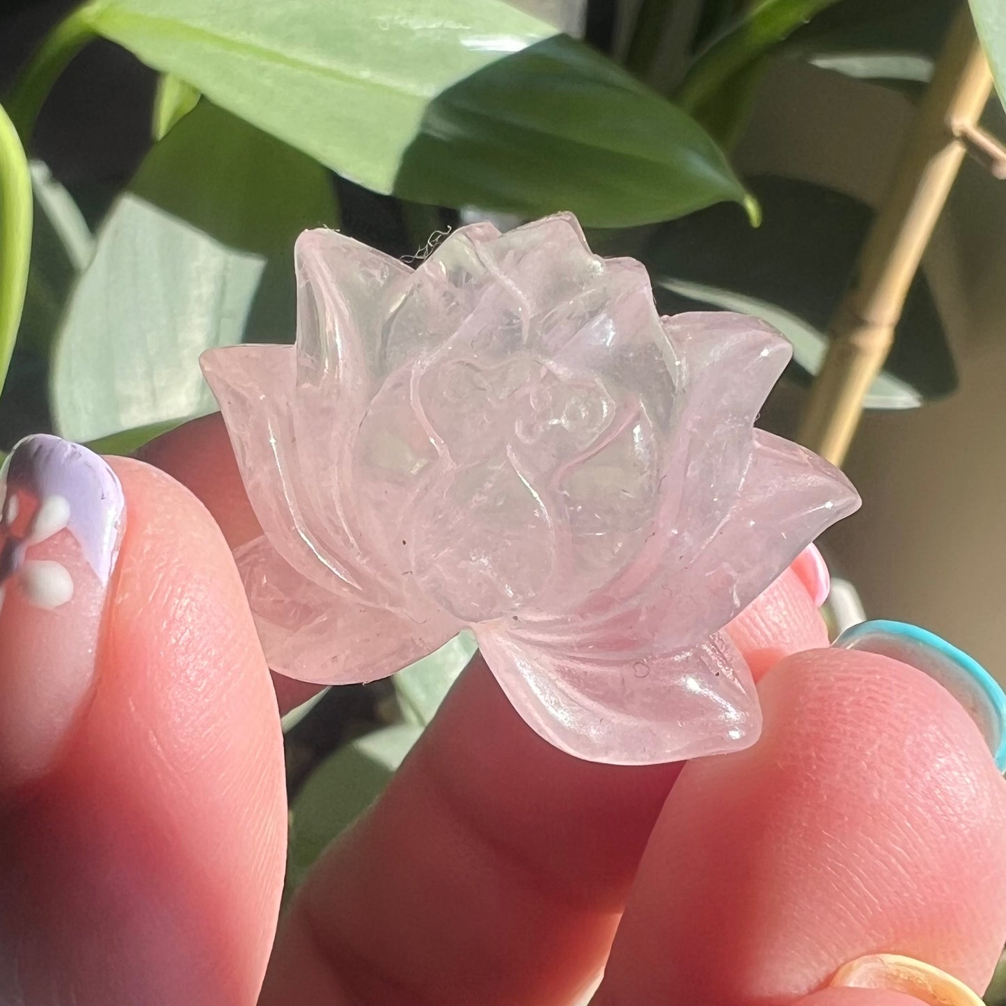 Rose Quartz Lotus Blossom Carvings