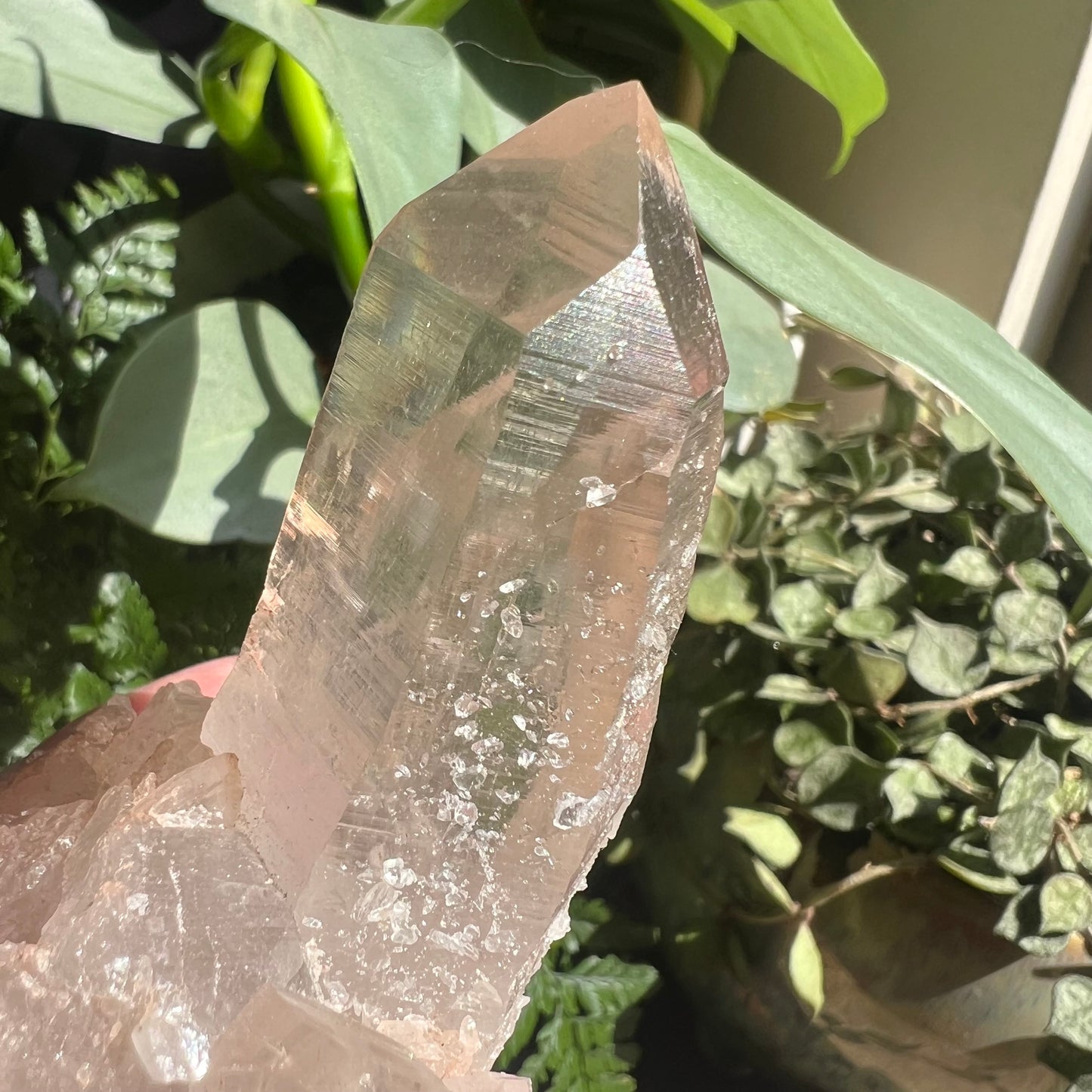 Pink Himalayan Samadhi Quartz Cluster (126g) (Bent growth/Aggregates/Striations)