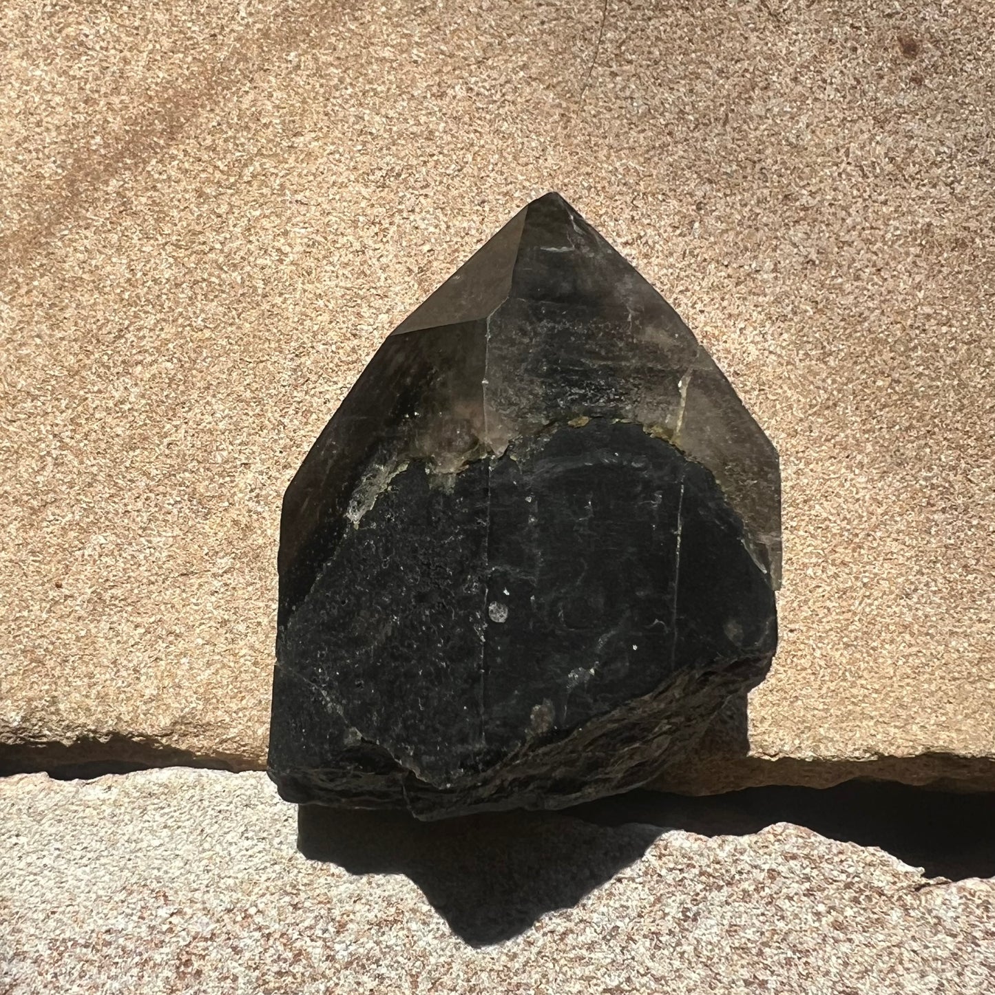 Morion Quartz Point | Black Quartz with Smoky Quartz capping