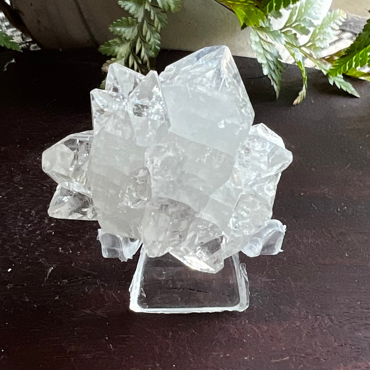 Mirror Apophyllite on Clear Calcite Matrix Cluster - Jalgoan District, Maharashtra, India
