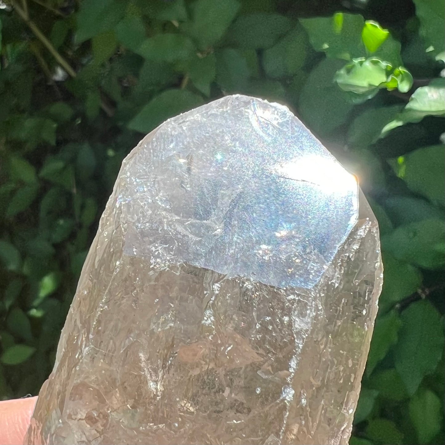 Smoky Quartz Point - Brazil - 9-sided face | Glyphs | Closure of Spiritual/Emotional Journeys | Compassion & Altruism