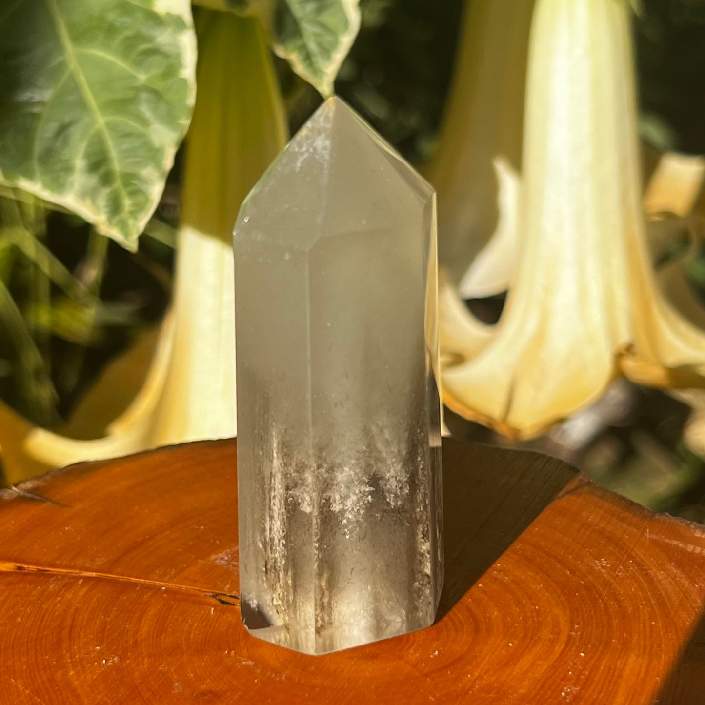 'Thousand Layer' Inclusion Phantom Quartz Point | Brazil