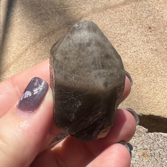 Morion Black Quartz with Smoky cap Specimen