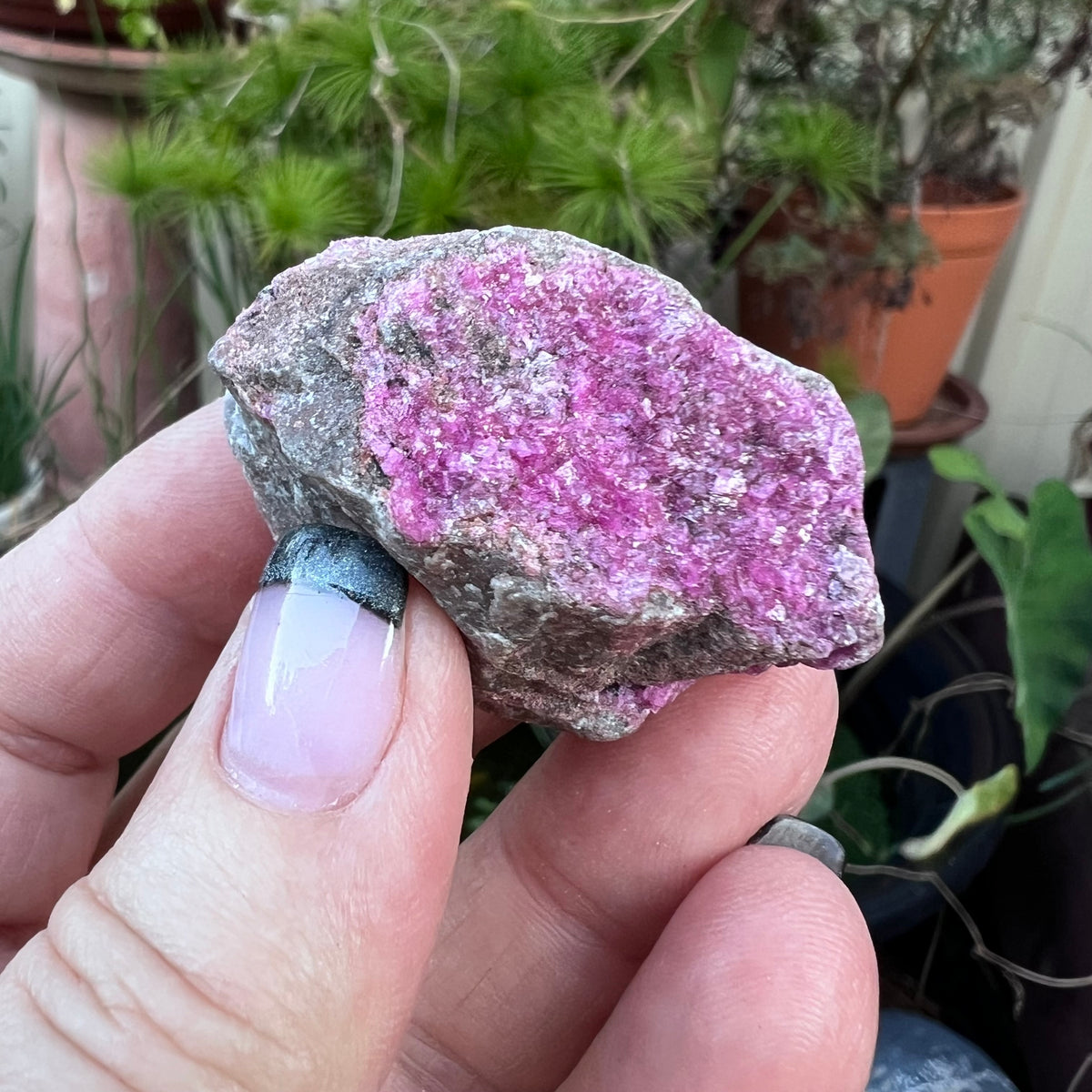 Sparkly Magenta Pink Cobaltoan Calcite mineral specimen.