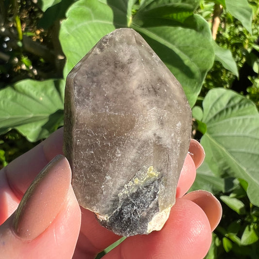 Smoky Cap over Black Morion Quartz Point