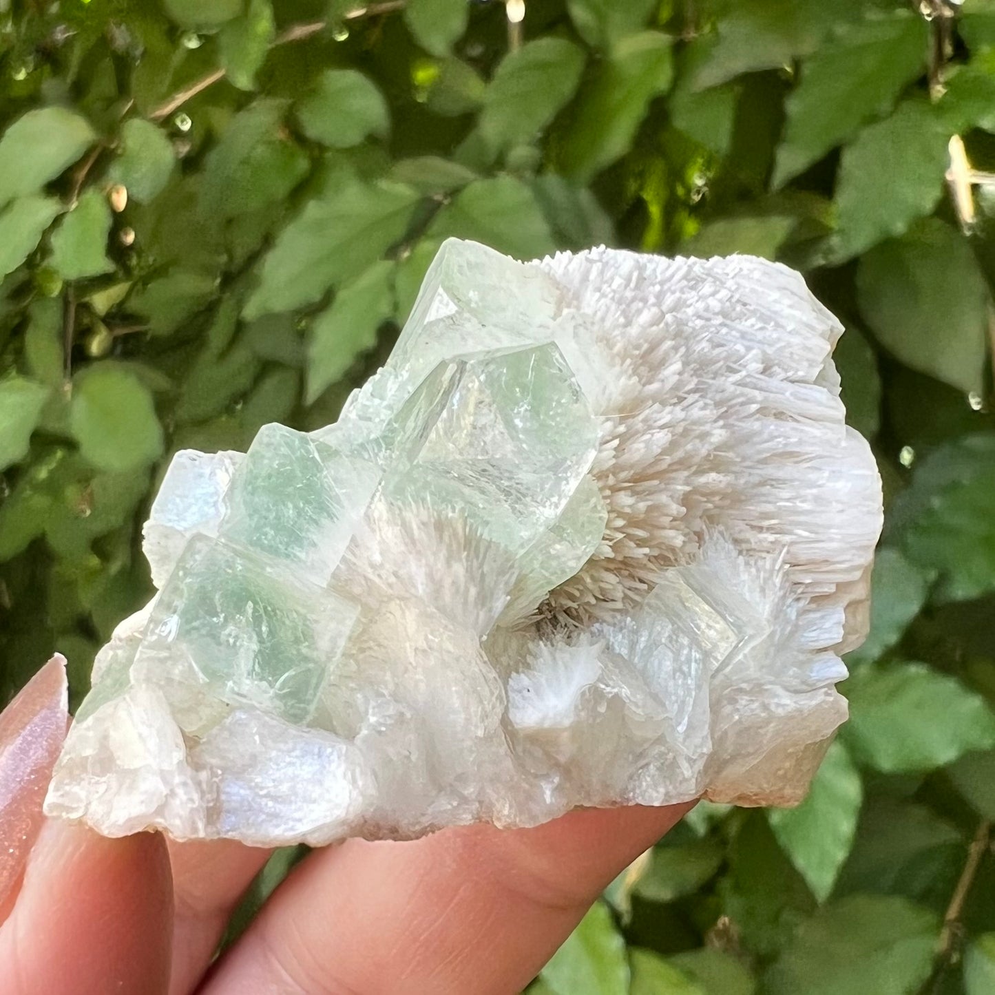 Green Apophyllite, Mordenite & Calcite Zeolite mineral specimen -  Jalgoan District, Maharashtra, India