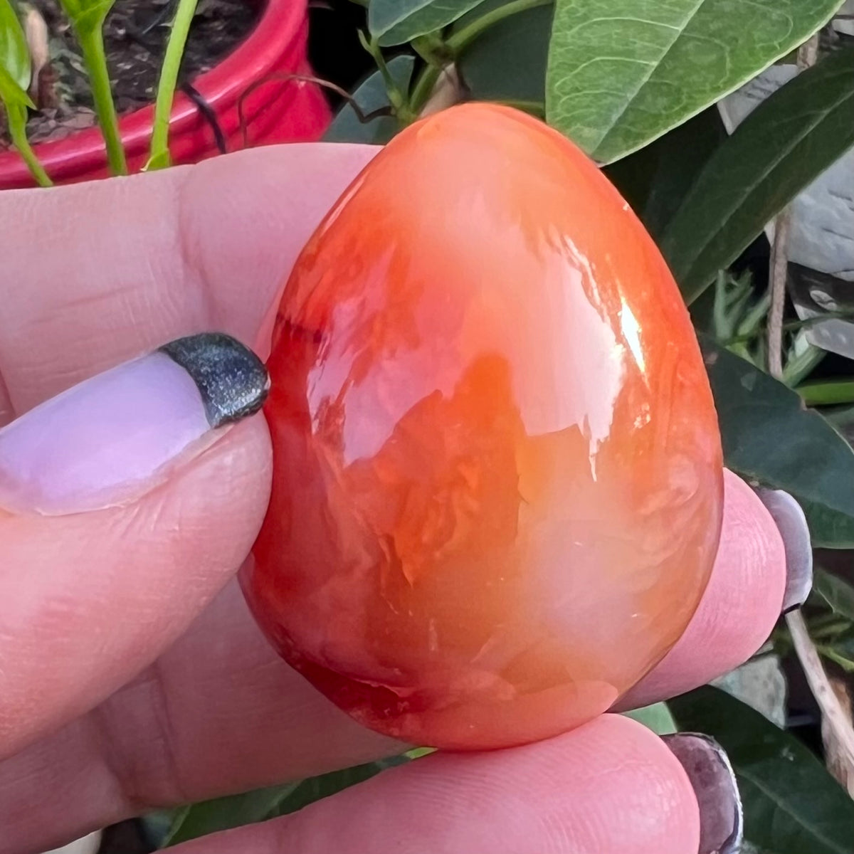 A lush Carnelian polished Egg - symbolising vitality and the rebirth of creative energy. 