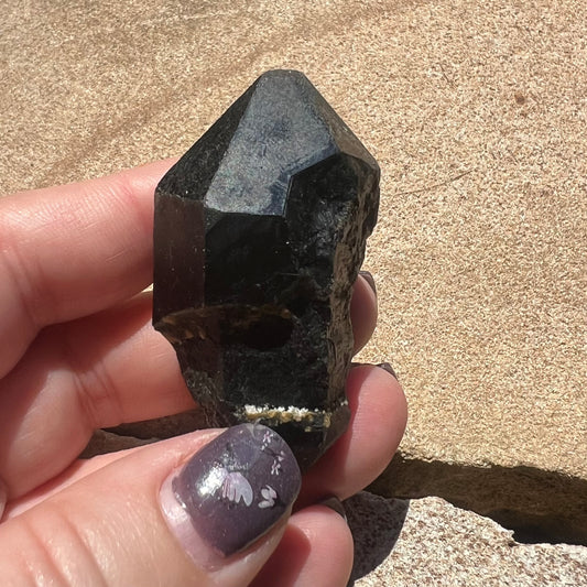 Morion Black Quartz Specimen - double terminated