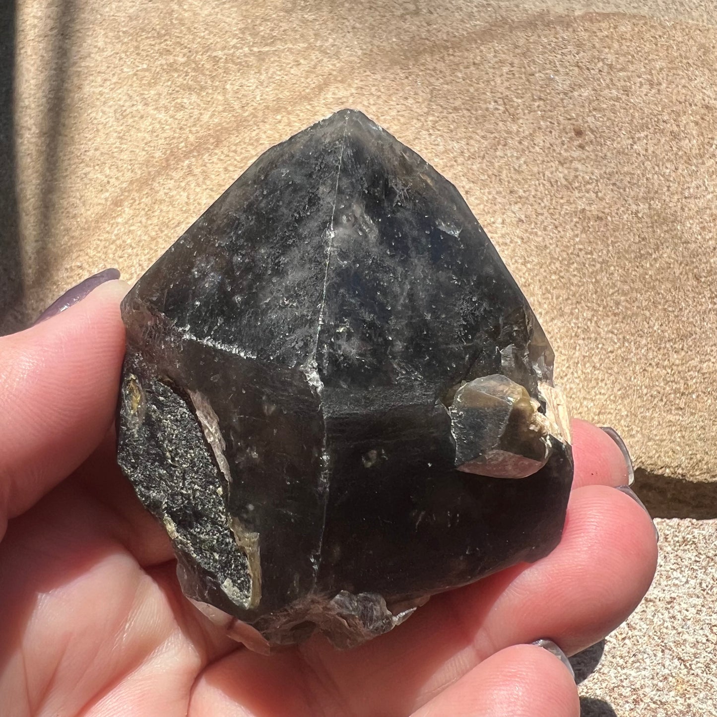 Morion Black Quartz Point | Smoky Quartz Cap | Natural Imprinted base