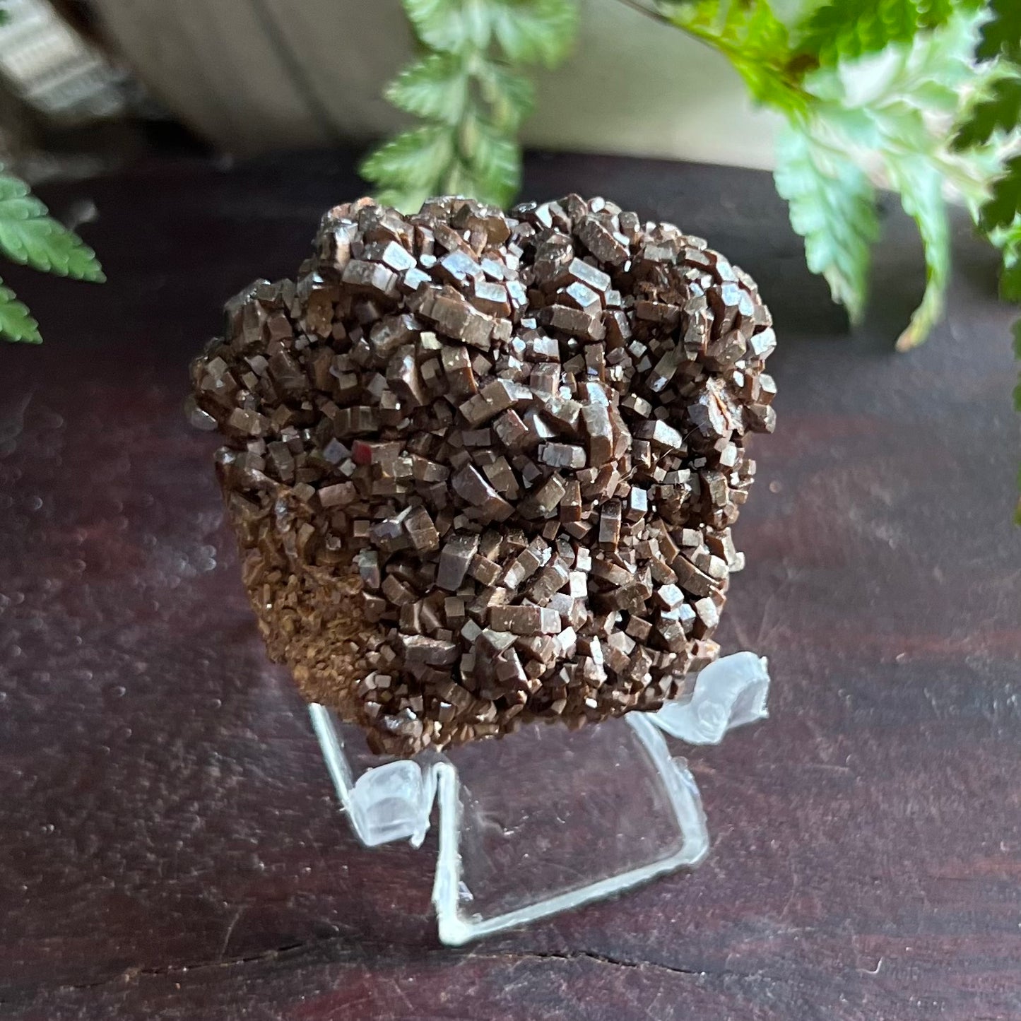 Vanadinite Cluster - Bronze/Brown dense cubic form: Morocco