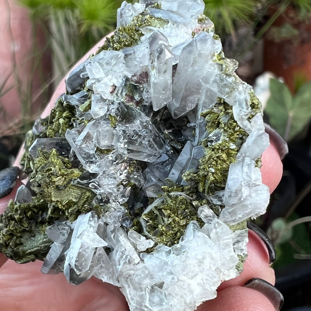Fairy Forest Epidote and Quartz Cluster Specimen
