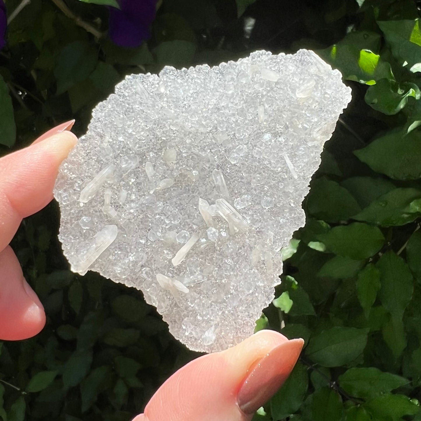 Snowflake Apophyllite | Sugar Druzy Apophyllite - Lusterous & High Grade | Jalgoan District, Maharashtra, India -