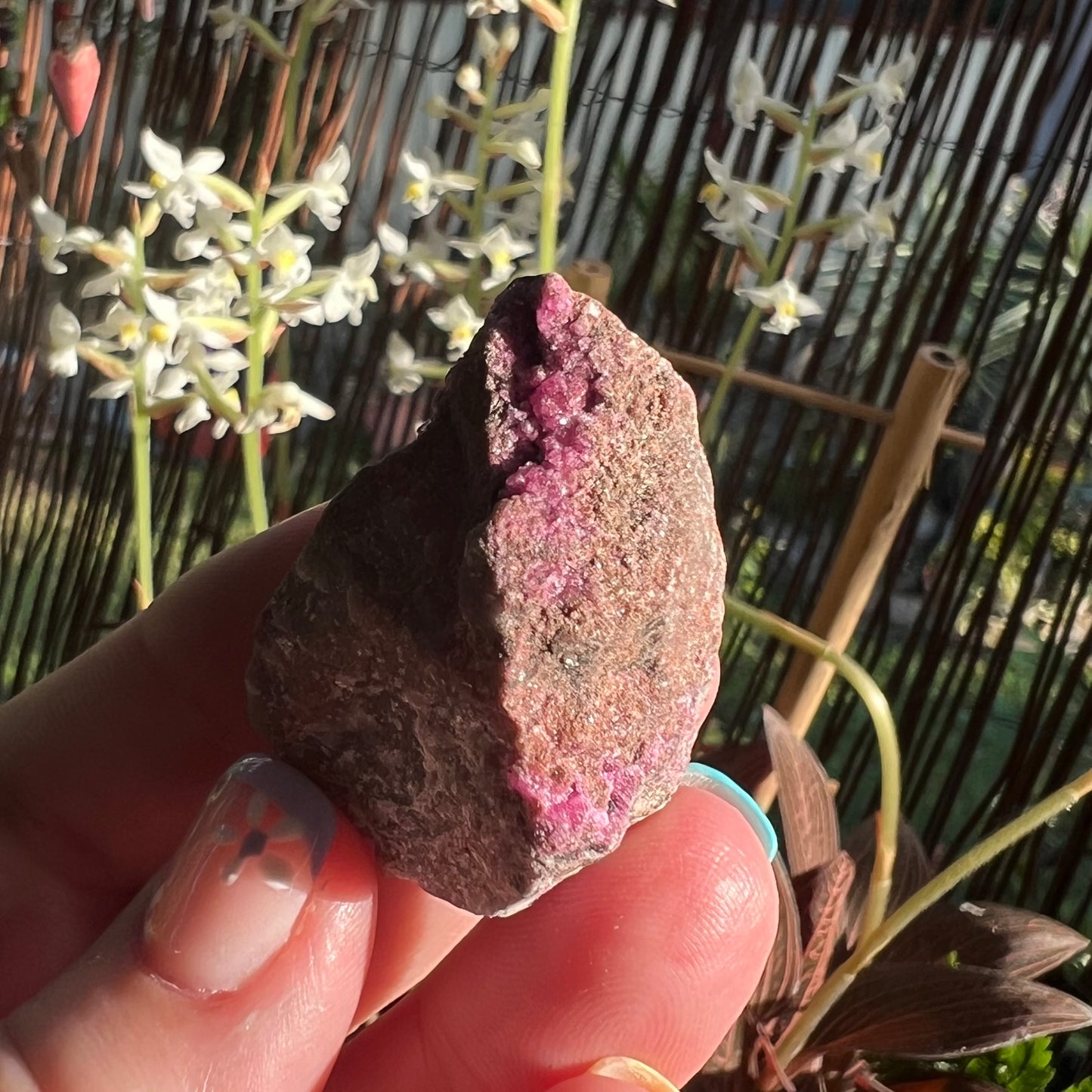 Sparkly Cobaltoan Calcite Specimen (iii)