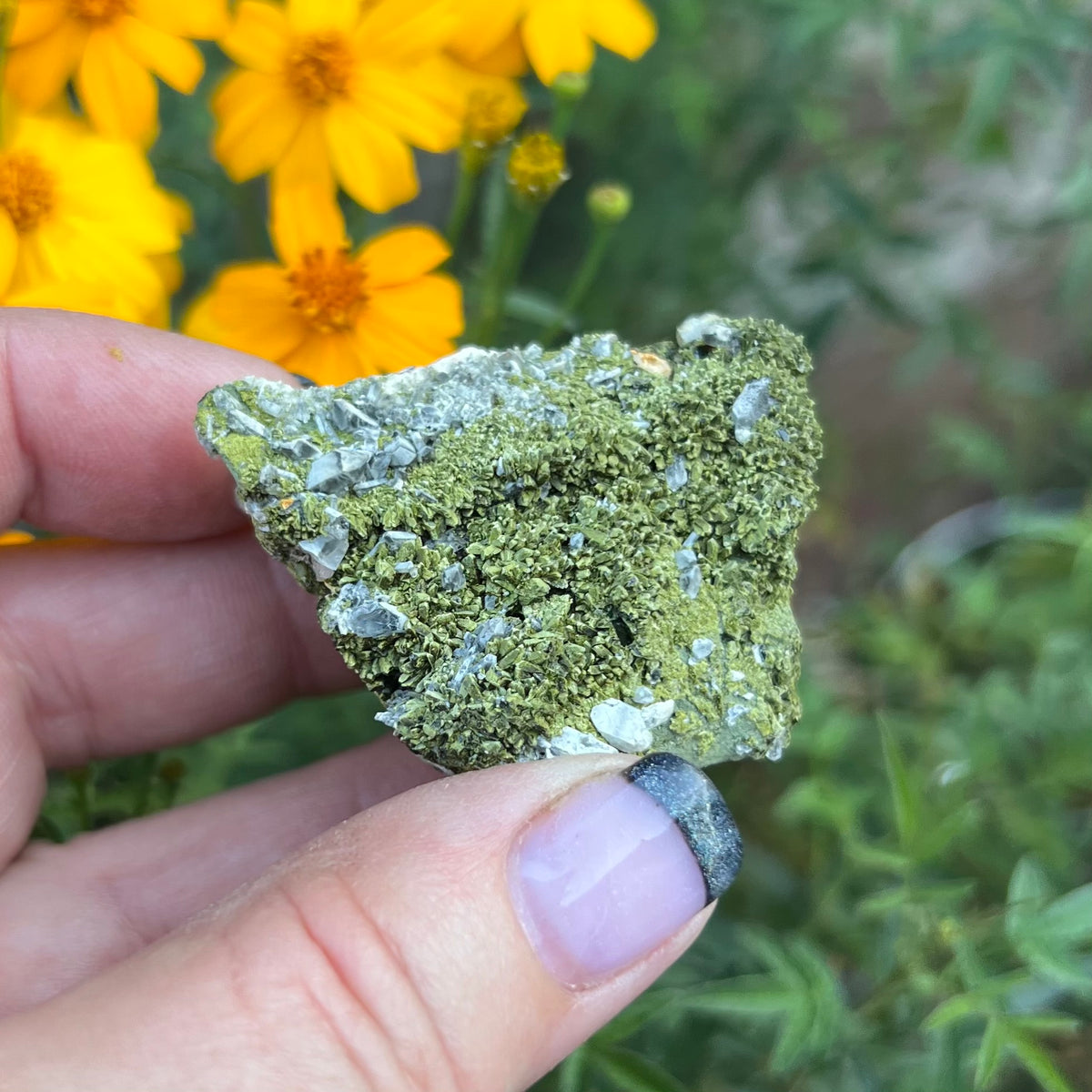 Epidote and Quartz Cluster Specimen - 'Fairy Forest' specimen