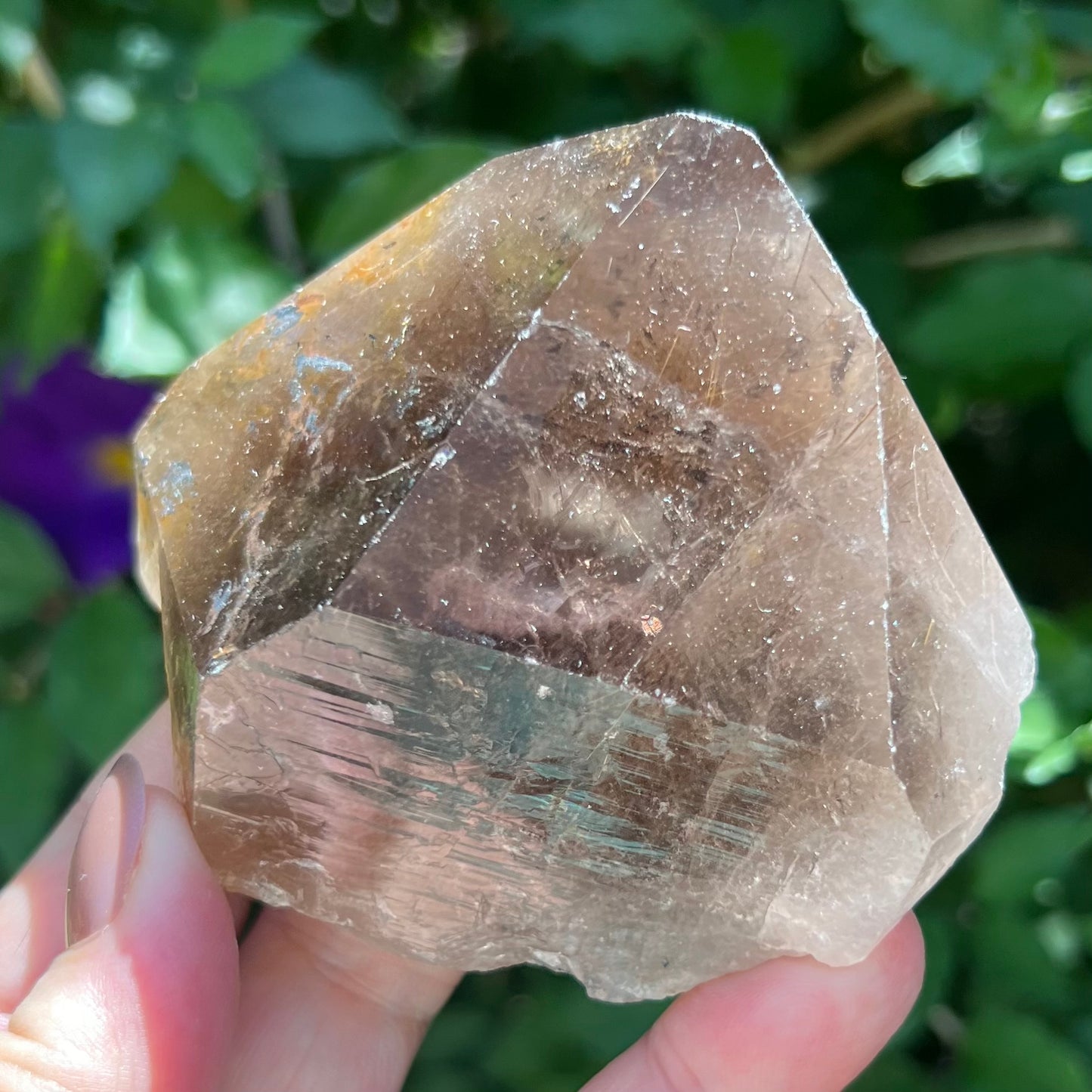 Large Natural Rutilated Smoky Quartz Point | Bahia, Brazil