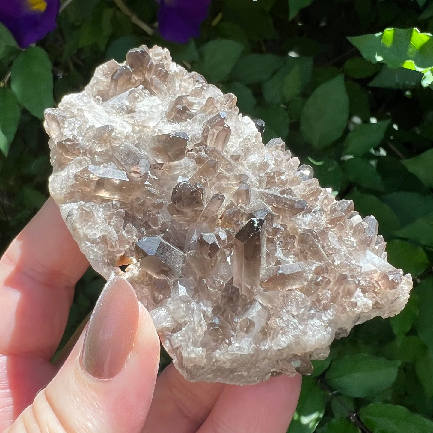 Smoky Quartz Cluster - lovely small point display