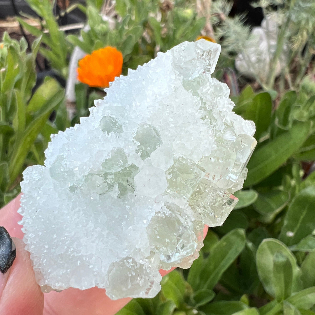 Green Octahedral Fluorite Specimen coated in Clear Quartz Druzy blanket - Fujian, China