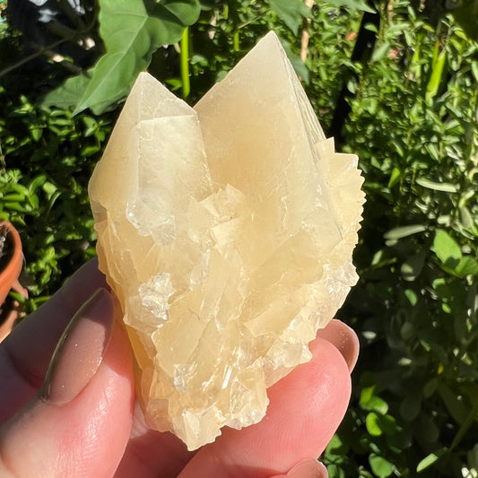 Orange Calcite Point Cluster