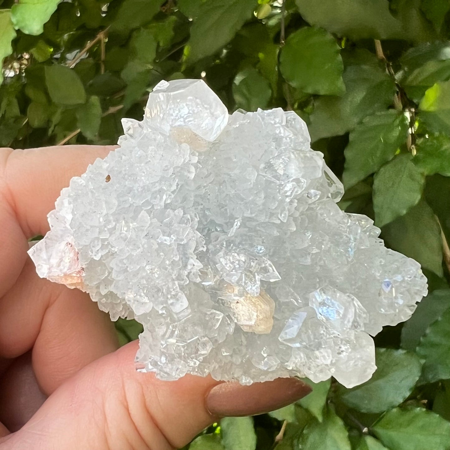 Mirror Apophyllite and Apophyllite Druzy with Stilbite Zeolite Cluster - Jalgoan District, Maharashtra, India