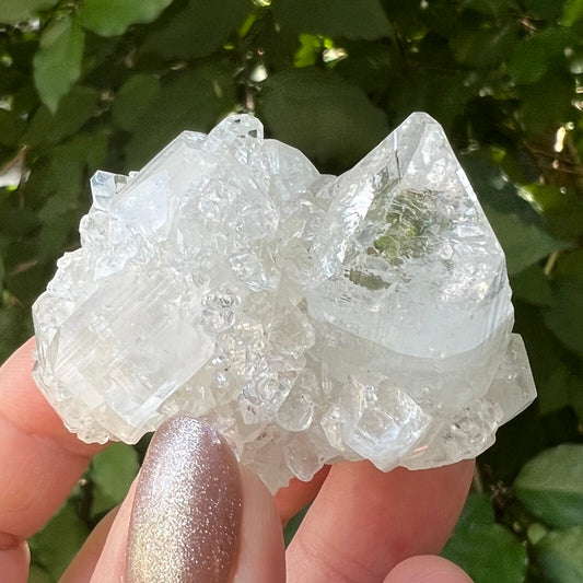 'Hen & Chickens' Mirror Apophyllite on Clear Calcite Matrix Cluster - Jalgoan District, Maharashtra, India