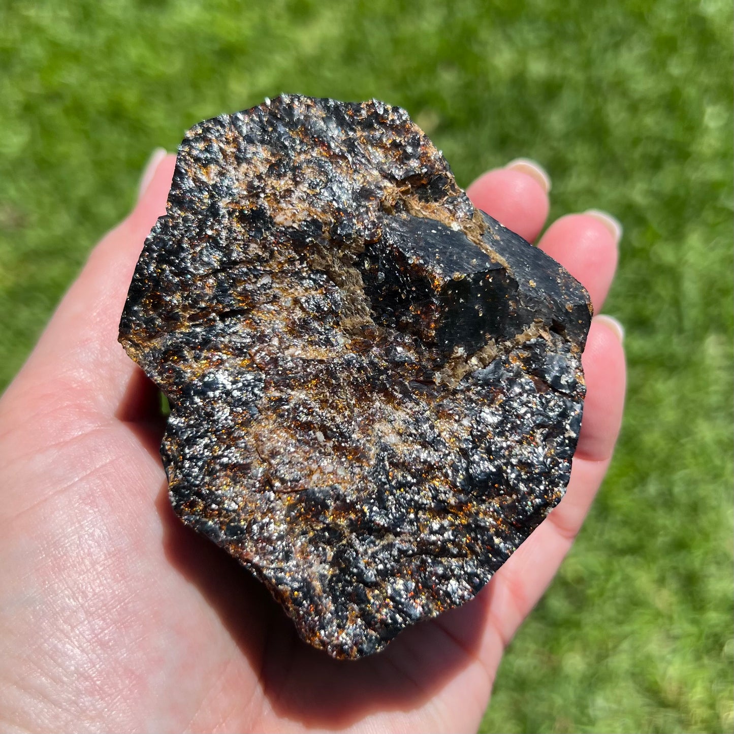 Large Rough Dravite Specimen (Brown Tourmaline) - Yinnethara Region, Western Australian