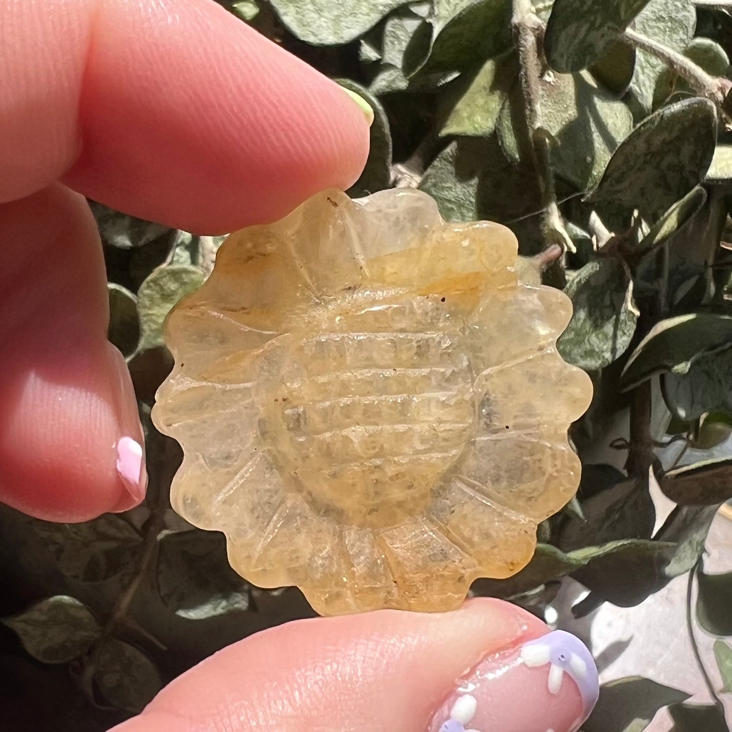 Golden Healer Sunflower carving (i)