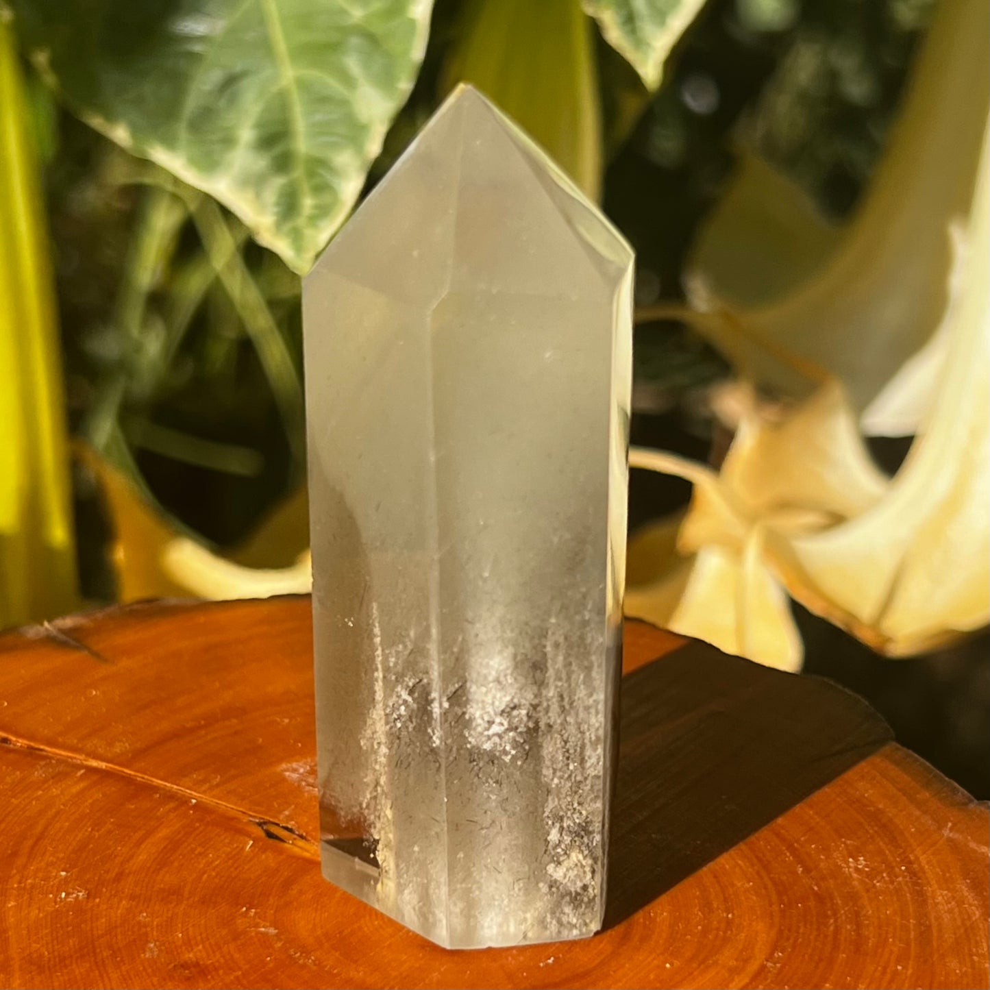 'Thousand Layer' Inclusion Phantom Quartz Point | Brazil