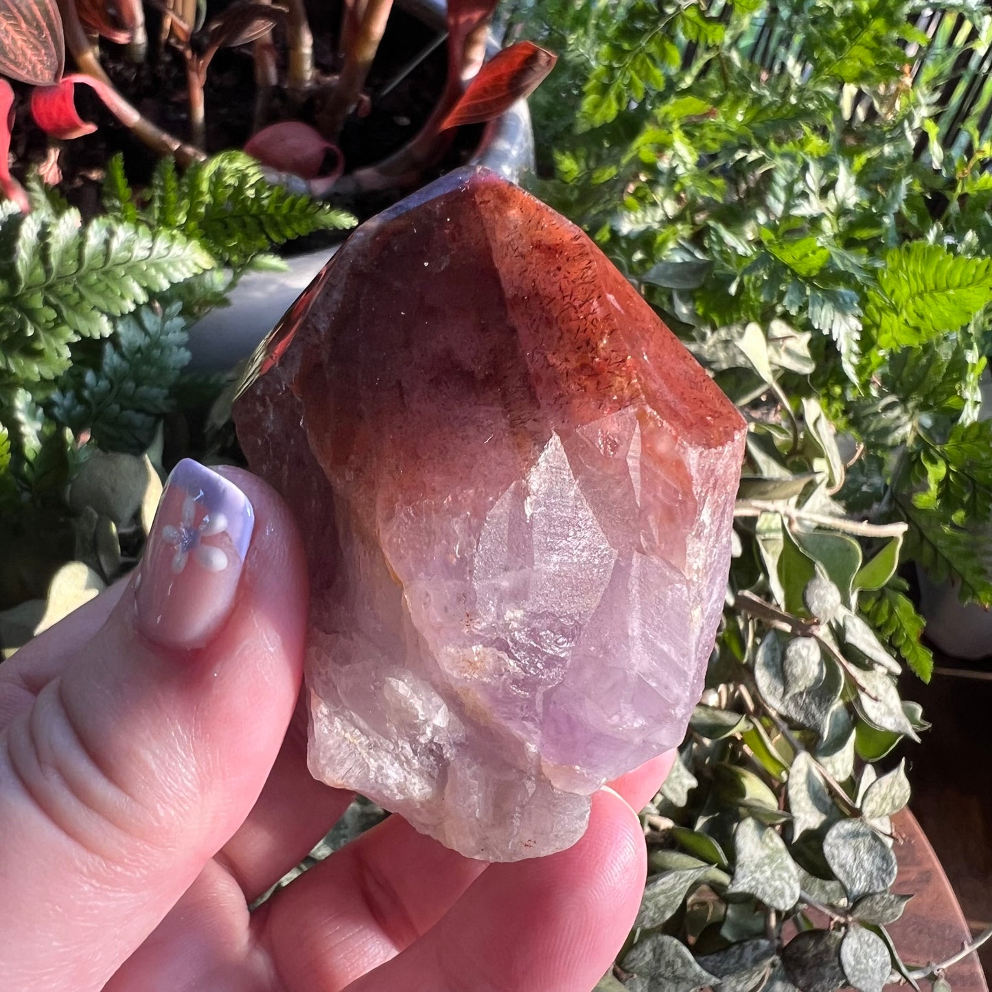 Red Cap Amethyst | Auralite-23 Large Natural Point