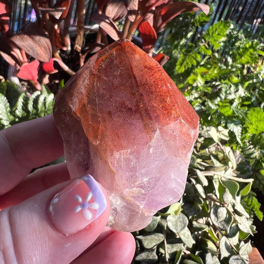 Red Cap Amethyst | Auralite-23 Large Natural Point