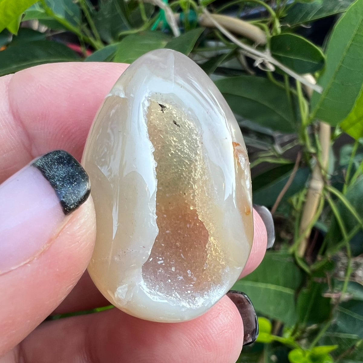 A hand holds a polished natural agate stone with a geode-like cavity showing a golden glittery interior, set against a background of green foliage.