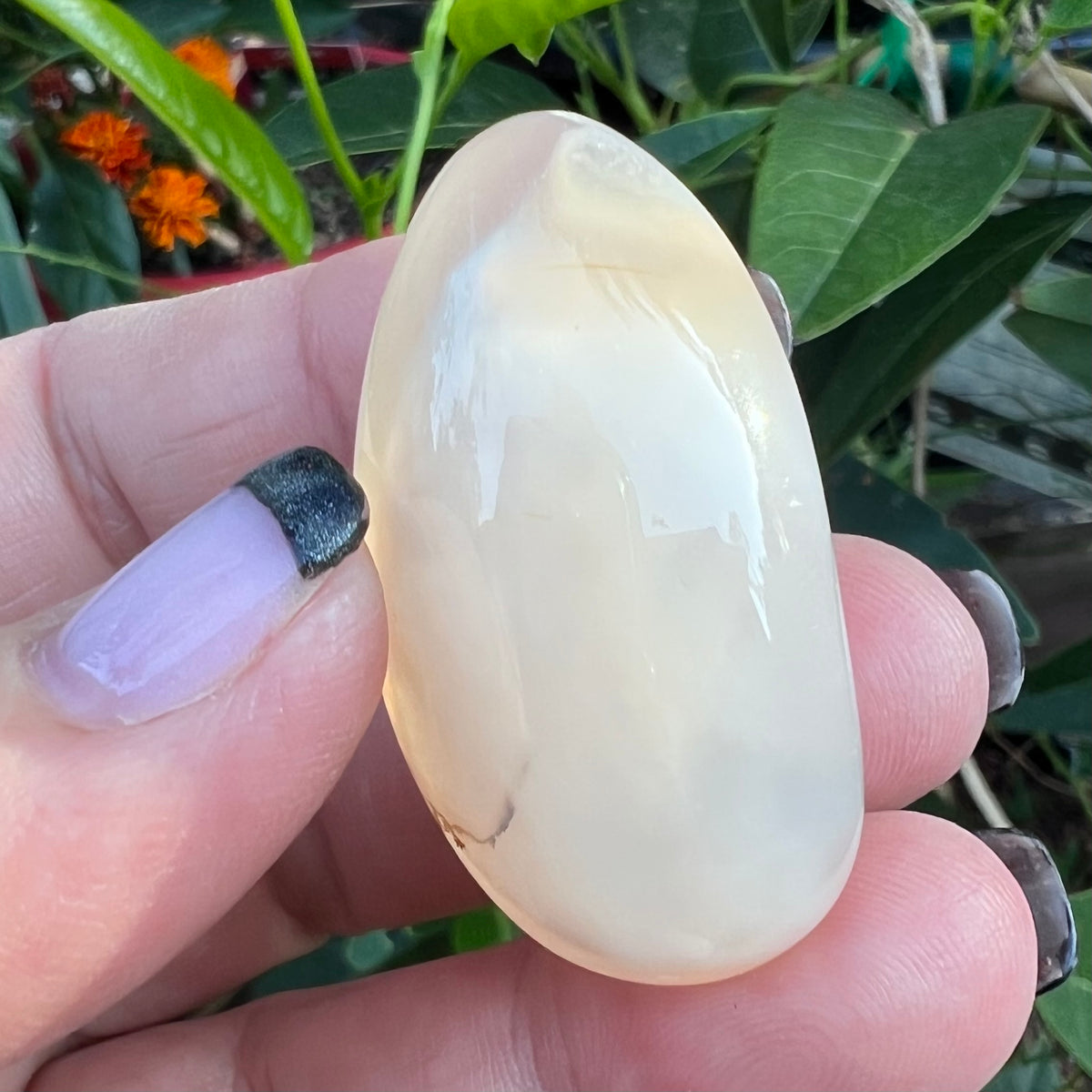 polished Agate Pocket rock with druzy cave centre