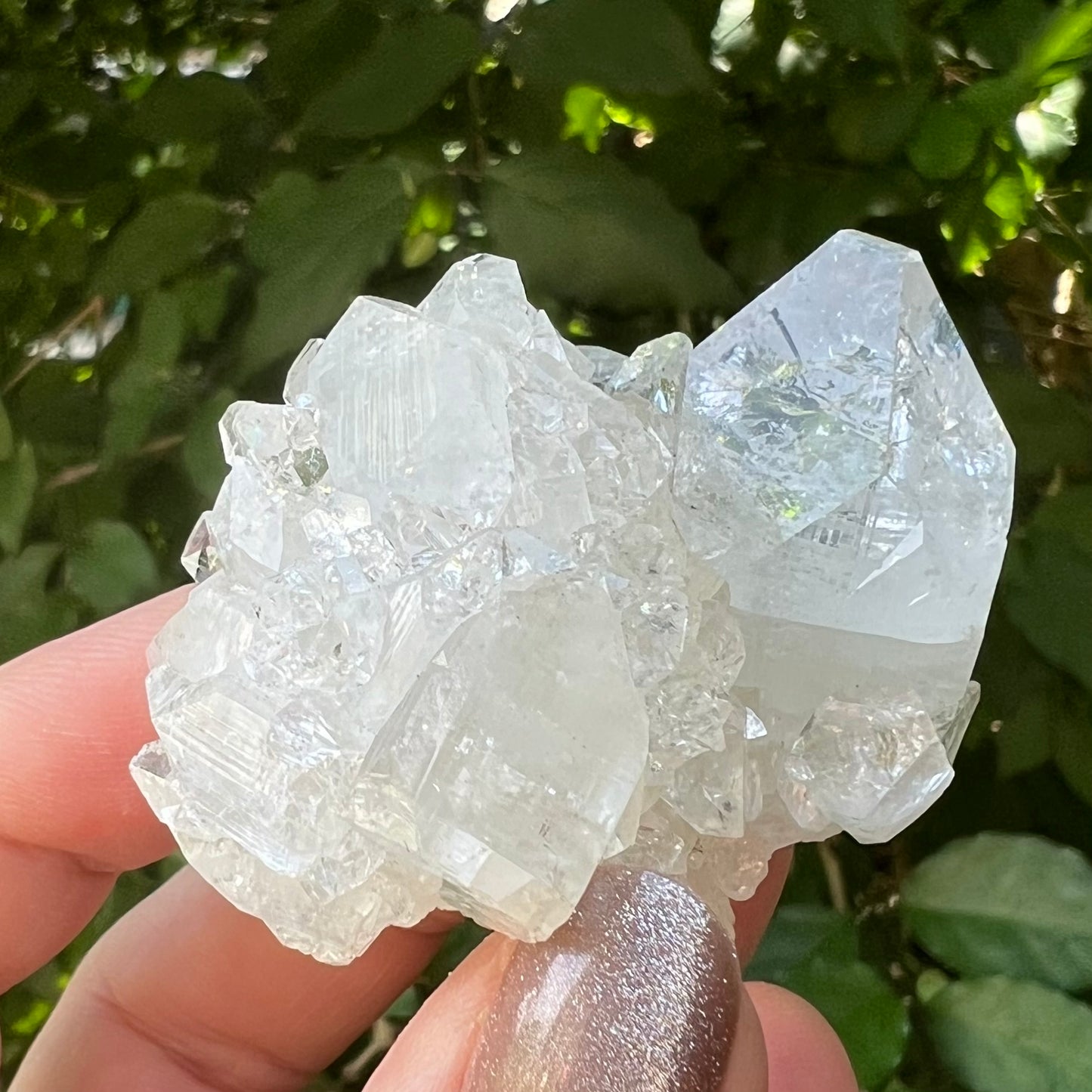 'Hen & Chickens' Mirror Apophyllite on Clear Calcite Matrix Cluster - Jalgoan District, Maharashtra, India