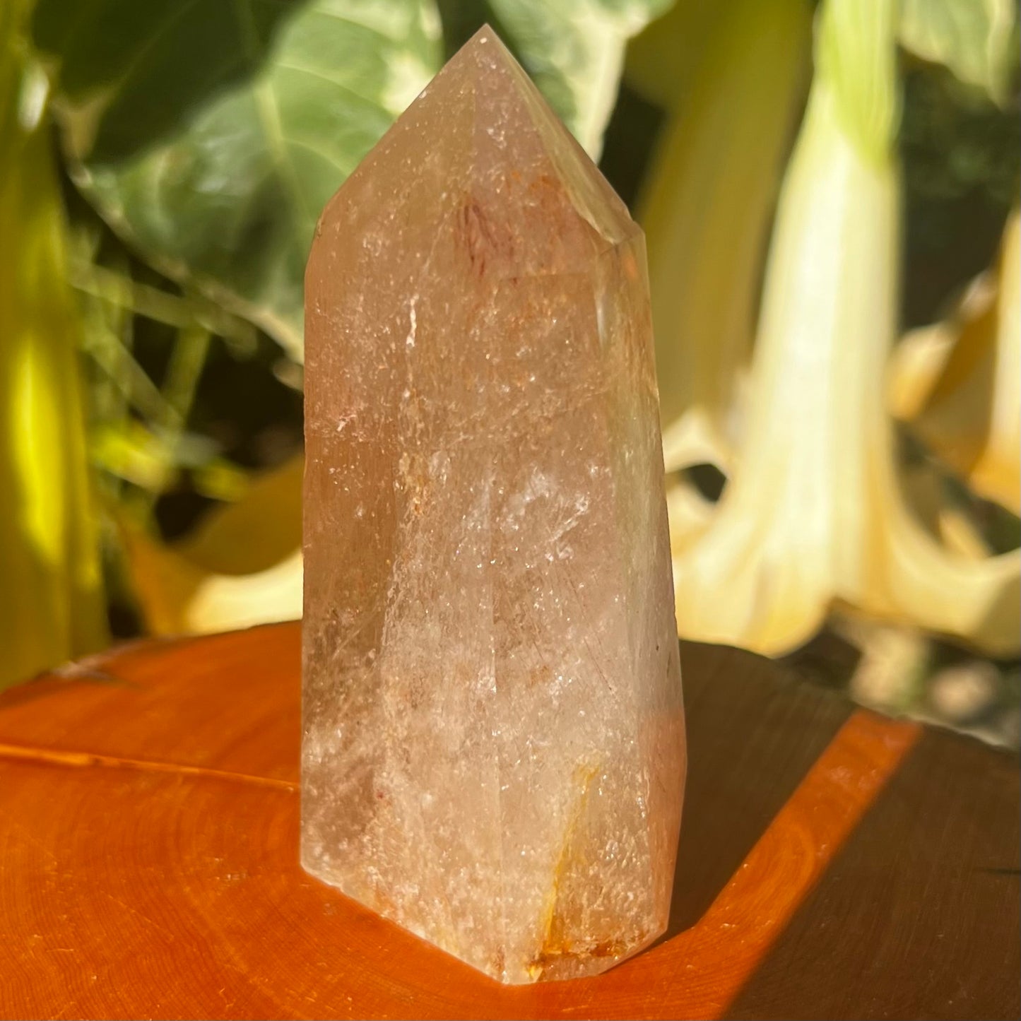 Golden Healer 'Sea Urchin' Quartz with inclusions of Hollandite, Iron ore staining and drifts of fine rutile filaments. A totally unique Inclusion Quartz specimen.