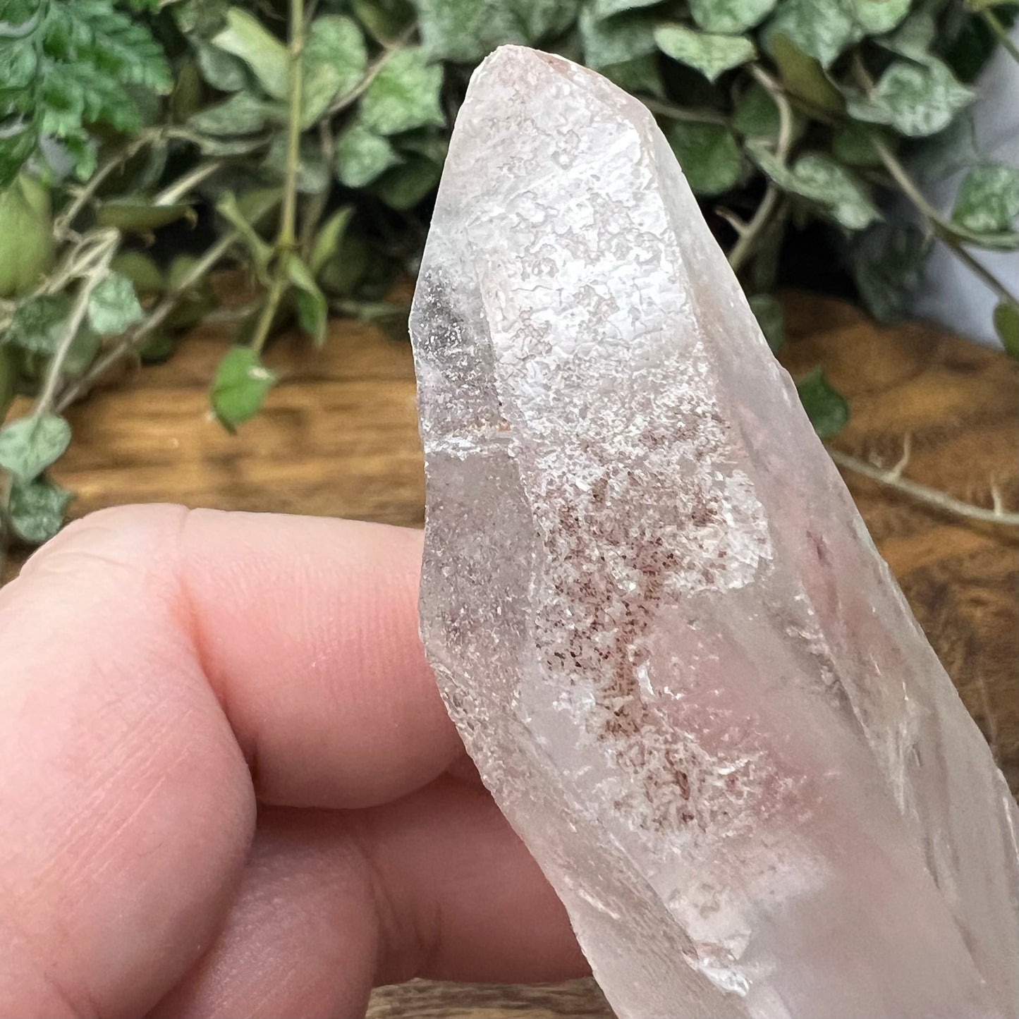 Empathic Warrior Self-Healed Quartz Point with penetrator