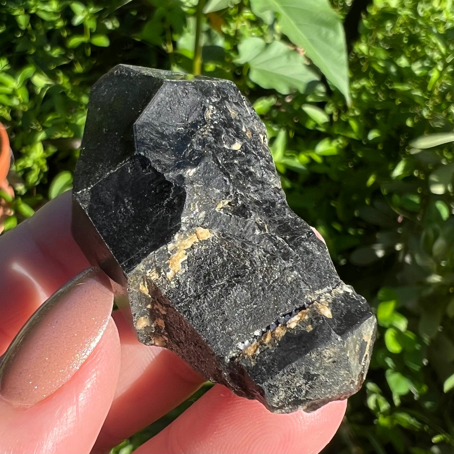 Morion Quartz Specimen | China | Double Terminated Black Quartz