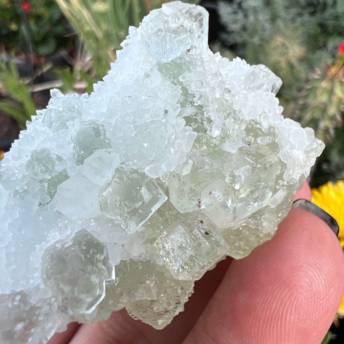 Green Octahedral Fluorite Specimen coated in Clear Quartz Druzy blanket - Fujian, China