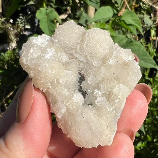 ‘Flower’ Calcite Mineral Specimen - Fujian, China | UV Reactive