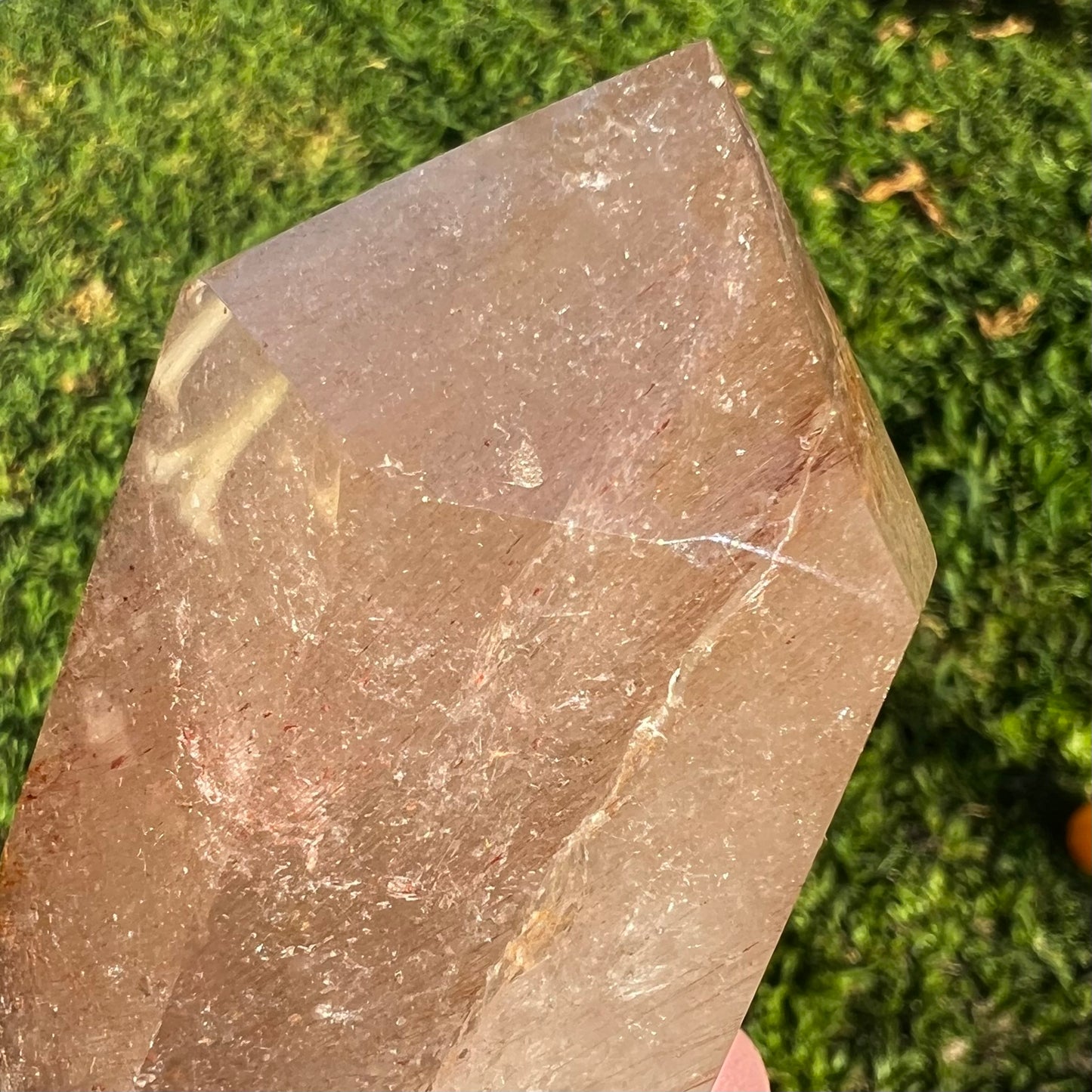 Golden Healer Sea Urchin Quartz Polished Point - Brazil | Hollandite, Iron and Rutile inclusions