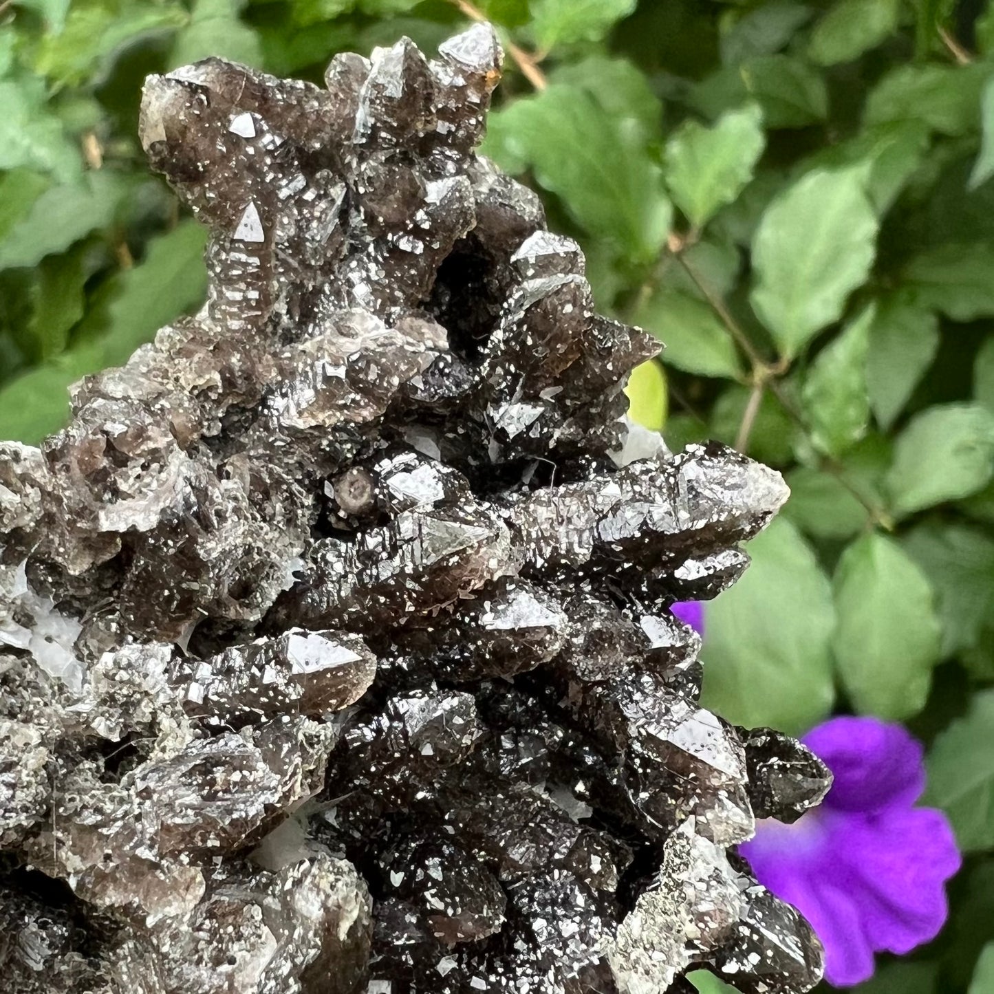 Black Morion Smoky 'Screw' Quartz Cluster - Unusual formation