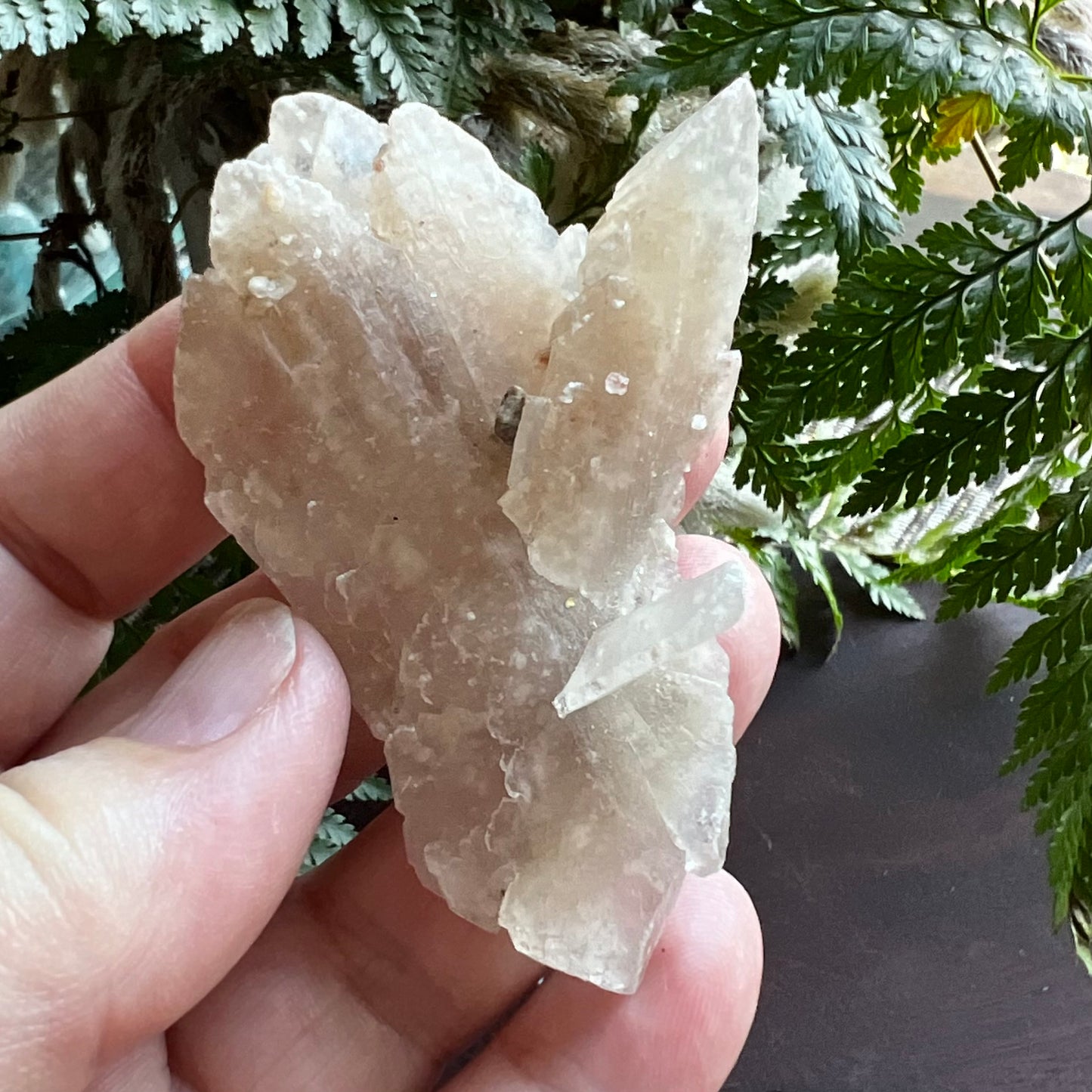 Selenite Desert Rose | Gypsum Rose Selenite Specimen , Australian Desert Rose Specimen