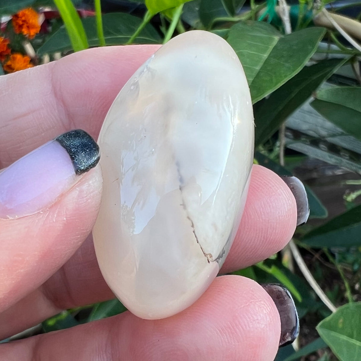 A hand holding a polished, oval-shaped cream-colored stone with a natural fissure, set against a background of green leaves and small orange flowers.