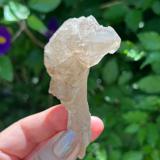 Elestial Stalactite Clear Quartz with Smoky Quartz double-terminated Scepter | Inner Mongolia